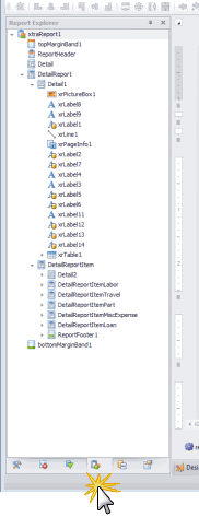 ReportDesignerReportExplorer