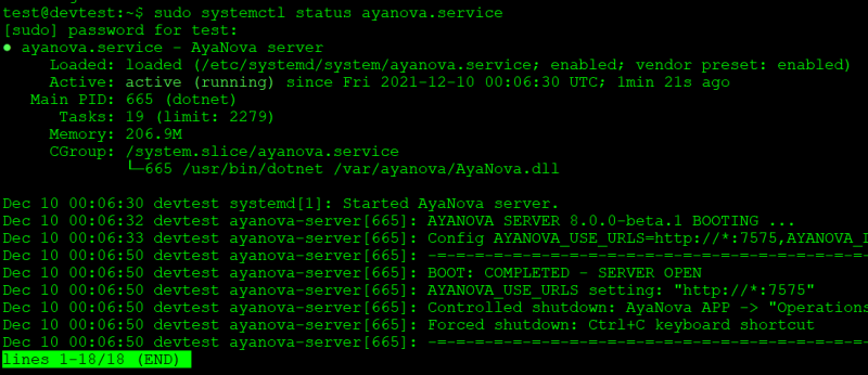 AyaNova service running