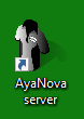 SCREENSHOT OF server desktop shortcut