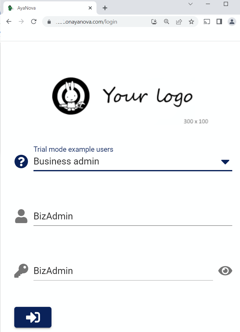 login as biz admin user